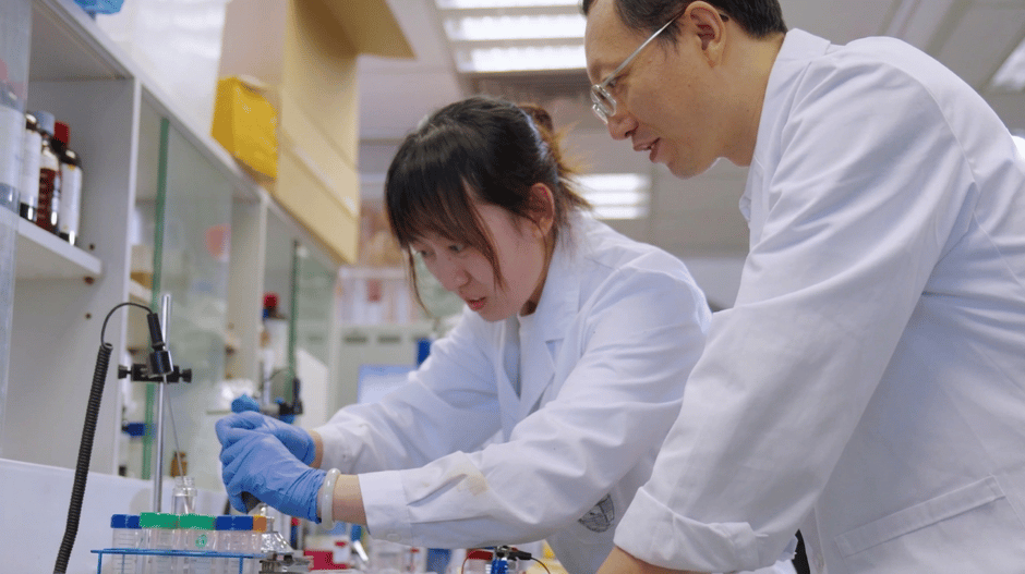 55c85105-ff23-4da5-8460-1695492f2c6b