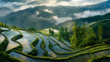How BioH2 Aligns with China’s 15th Five-Year Plan and Absolute Emissions Rules