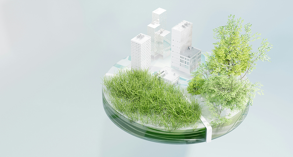 galina-nelyubova-pyZYqtzCM10-unsplash (1)